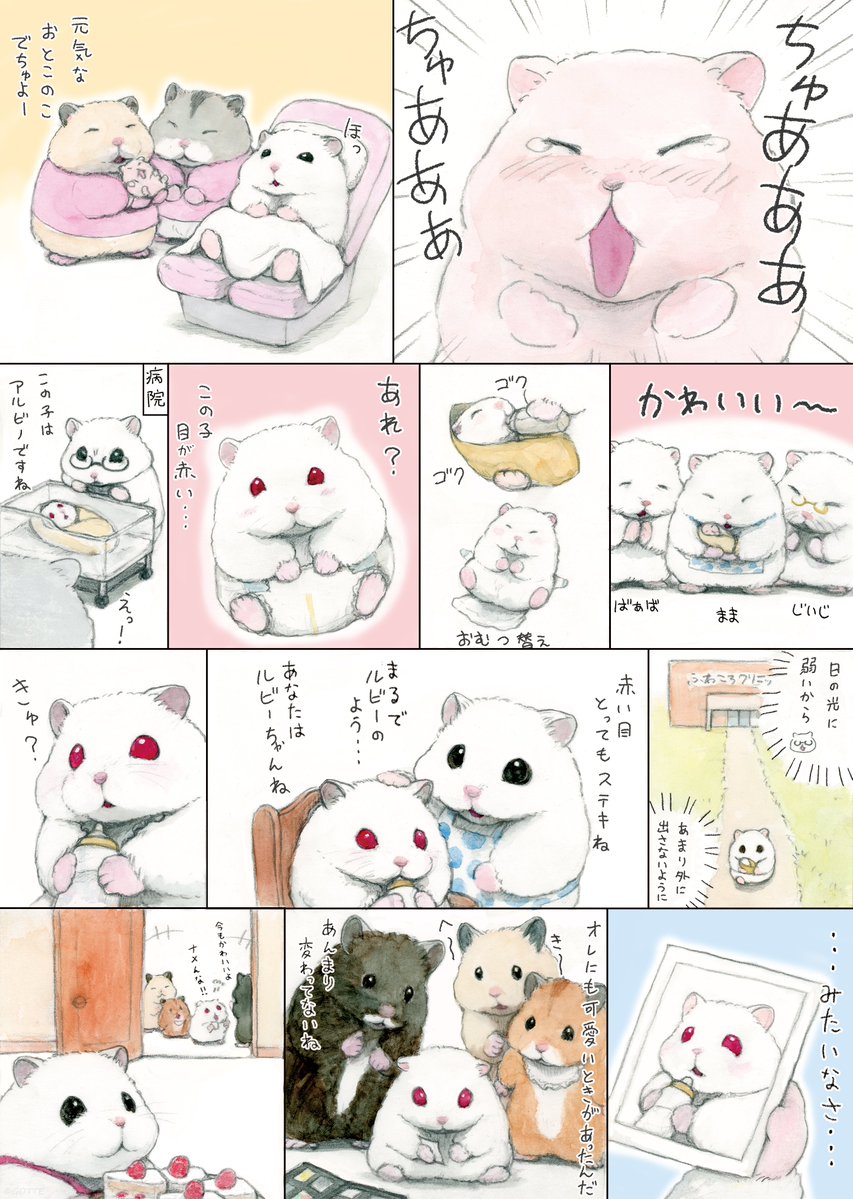 のんのん (@nonko_s) / Posts and Replies / X