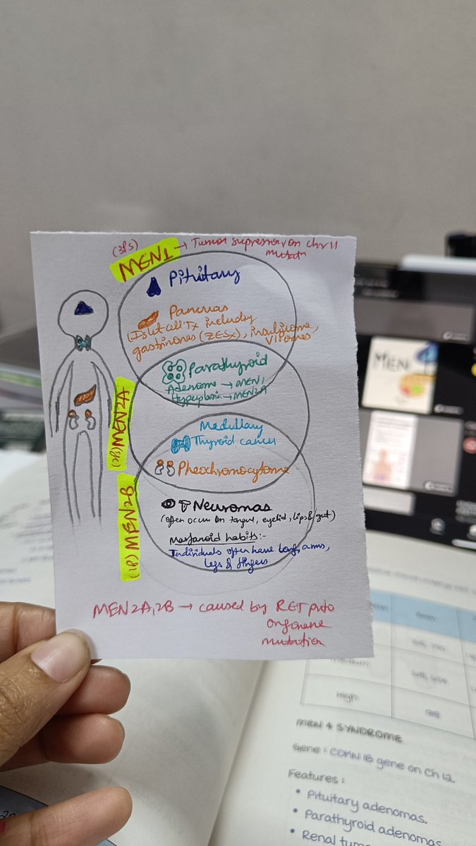 Tejaaaa✨🌸 tweet media