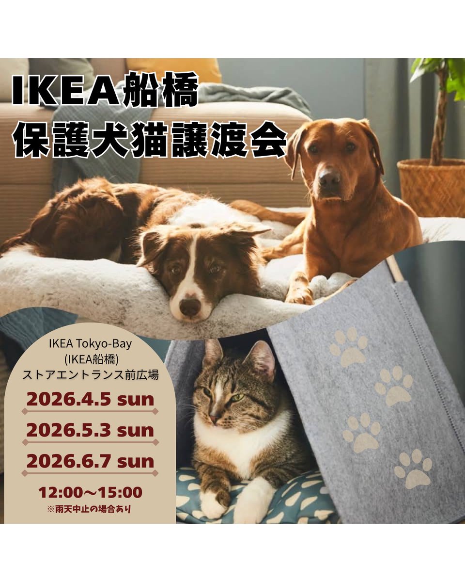 IKEA船橋（IKEA TOKYO BAY）
保護犬猫譲渡会、２０２６年も開催致します！

日程
２０２６年４月５日（日）
２０２６年５月３日（日）
２０２６年６月７日（日）

時間
１２時から１５時

場所
IKEA TOKYO  BAY（IKEA船橋）
千葉県船橋市浜町２-３−３０
ストアエントランス前広場

※