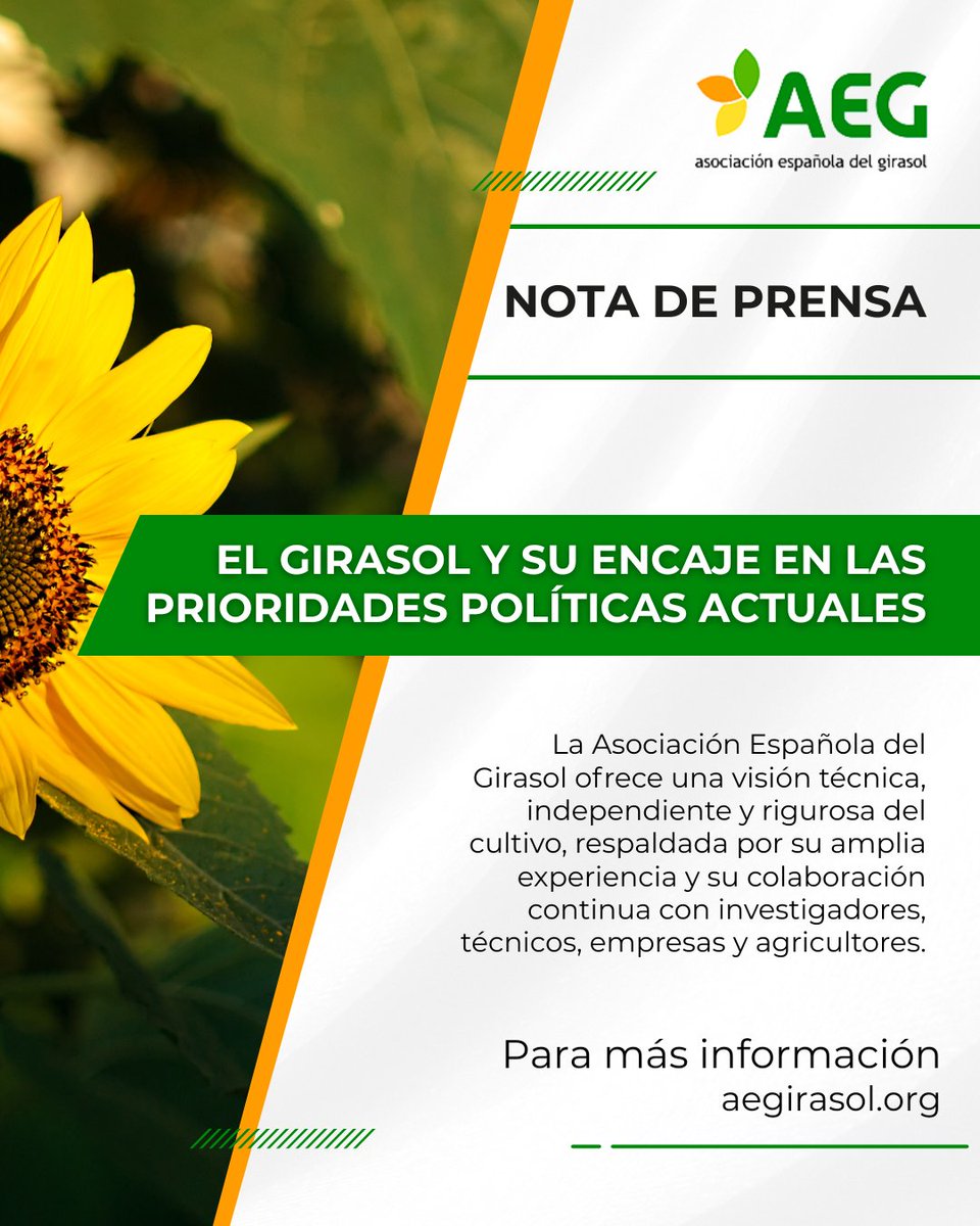 📣 Hoy hablamos sobre el girasol y su encaje en las prioridades políticas actuales.

🌻 Nueva nota de prensa ya disponible con todos los detalles sobre el sector.

📲 Léela completa en aegirasol.org o accede directamente desde aquí ➡️ aegirasol.org/el-girasol-y-s…