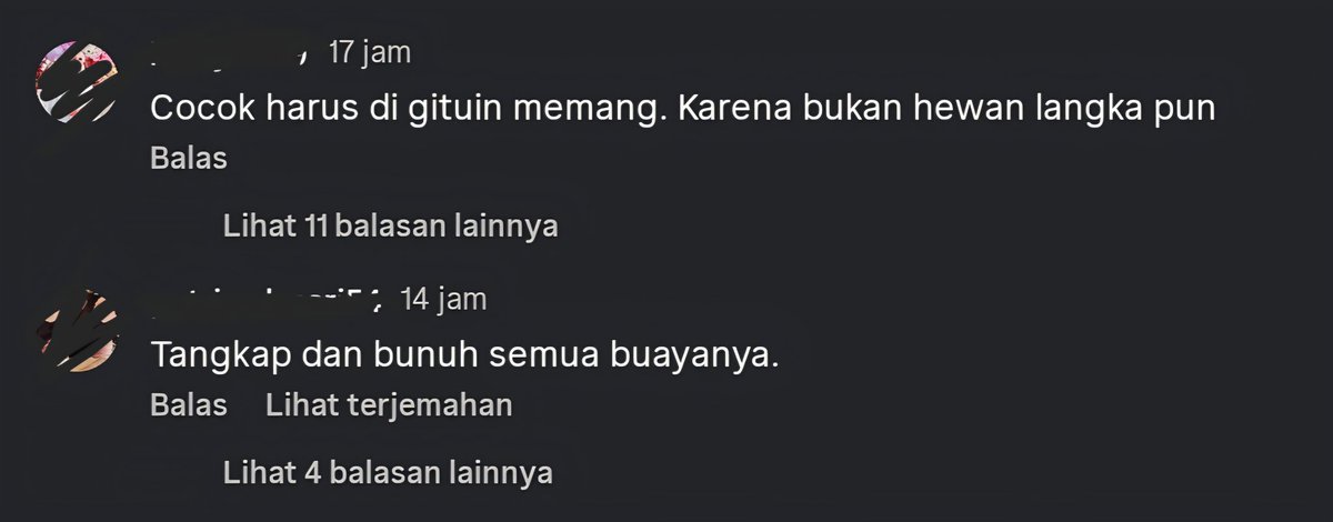 Conydin's tweet photo. Turut berduka cita buat orang2 yang meninggal di makan buaya, tapi ngeliat komenan di reels ig pas buayanya di bunuh, gw lebih berduka cita ama otak mereka yang udah mati. https://t.co/ueYBBiAxPp