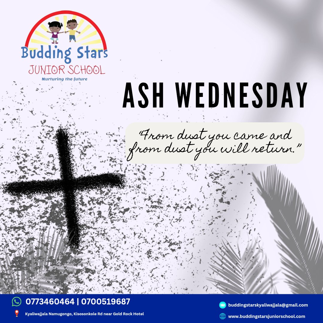 Budding Stars Junior School tweet media