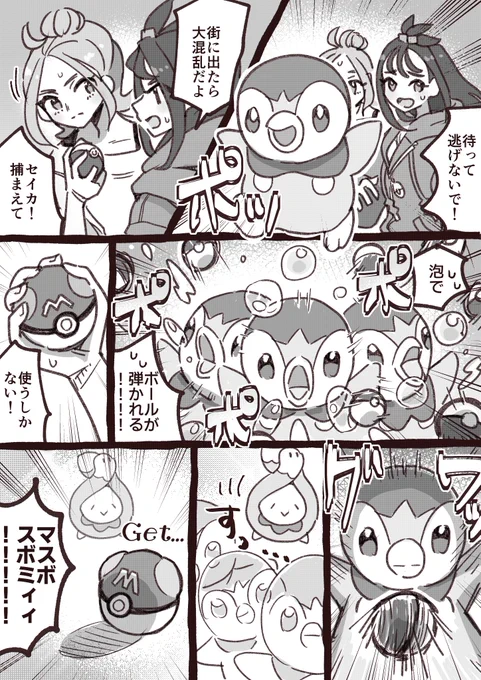 ポッチャマを捕まえたいセイカ 