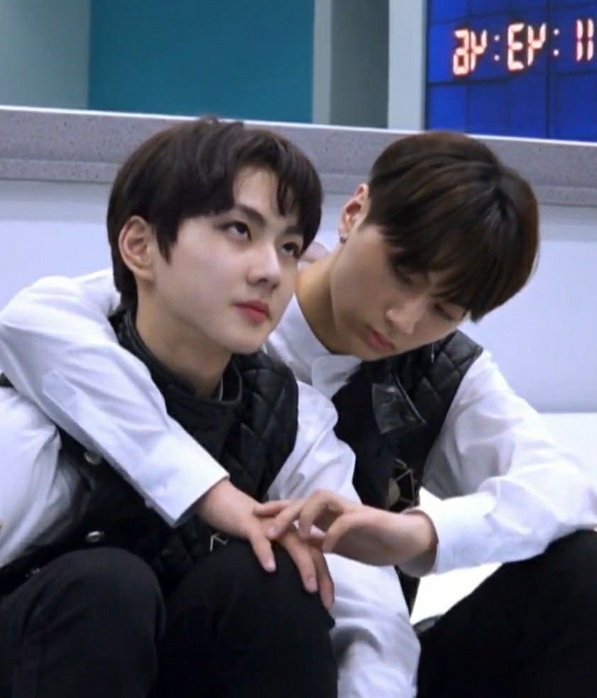 감자밭 tweet media