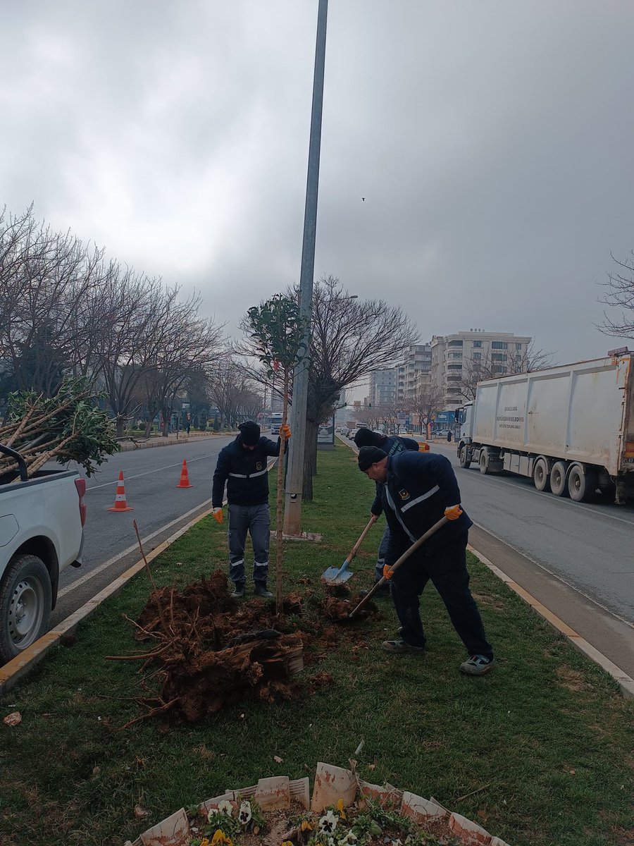 📍GAP Bulvarı ❤️

Park ve Bahçeler Dairesi  Başkanlığına bağlı ekiplerimiz;👷🚧👷

 Ağaç dikimi çalışmalarını hız kesmeden sürdürmektedir.🌲

#YeşilŞehirŞanlıurfa 

<a href="/sanliurfabld/">Şanlıurfa Büyükşehir 🇹🇷</a> 
<a href="/MithatCanKutluc/">Mithat Can KUTLUCA</a> 
<a href="/halilaldeniz_/">Halil Aldeniz</a> 
<a href="/Tuba_Yaygin/">Tuba Yaygın</a> 
<a href="/sukrukaracads/">şükrü karaca</a> 
<a href="/musadokuz_/">Musa dokuz</a>