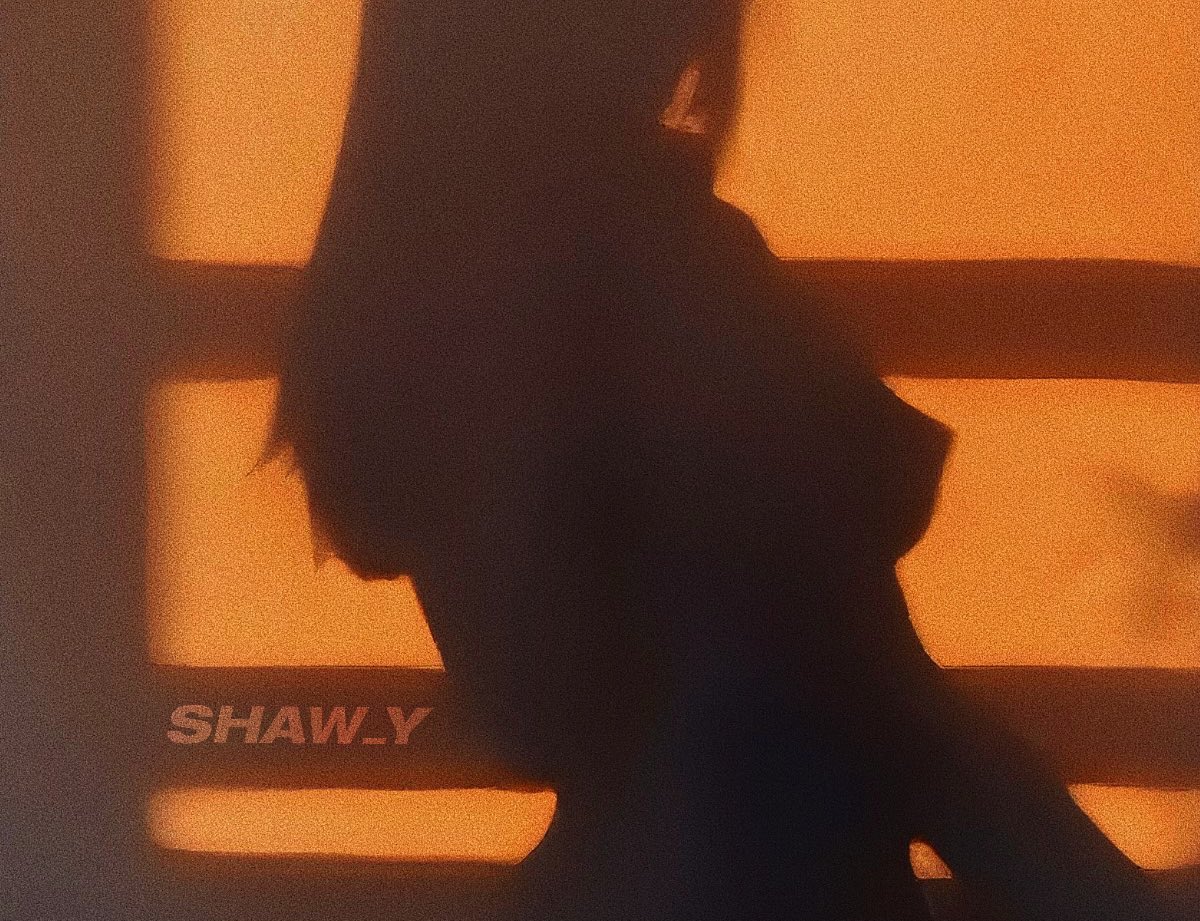 SHAW_Y tweet media