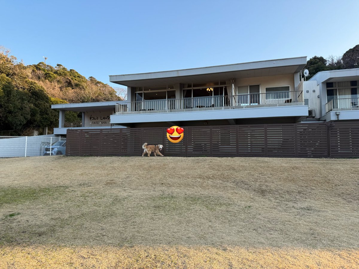 つい先日、王子連れて旅行行ったよ。
めっちゃ広い部屋に広いドッグラン付きで、ご飯も美味しくて最高だった〜😚🫶