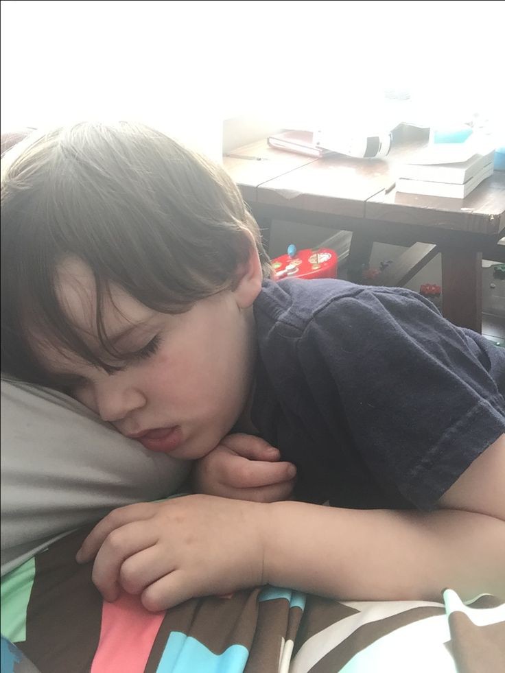 Good morning from Captain Snooze 🌞🛌  reporting for cuddles, snack missions, and zero interest in waking up. Coffee for me, cartoons for him. ☕️➡️📺