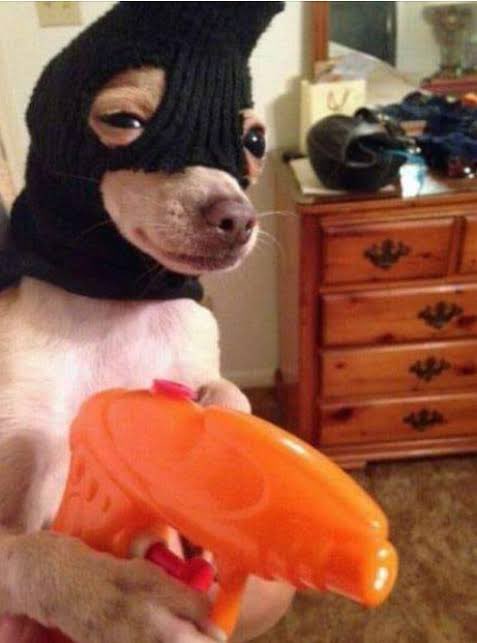 [ได้ข้อสรุปแล้ว]
ฟังเพลงคนละ 100 สตรีม แล้ว 1 ทุ่มนี้ Official MV จะปลดเซ็นเซอร์ (ตรวจมวลกระดูกไม่น่าเวิร์ก)

🎧: ppkrit.lnk.to/guiltypleasure

Official MV Premiere 🔴
: youtu.be/CdH_0cgsZwQ?si…

#guiltypleasure