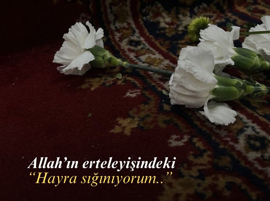 Mehmet Okur محمد أوكور (@okur14) on Twitter photo 