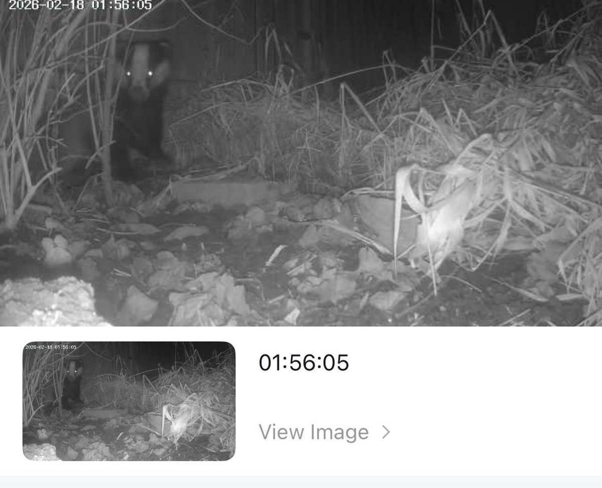 ffs ..living in garden 
Holes size is 18”