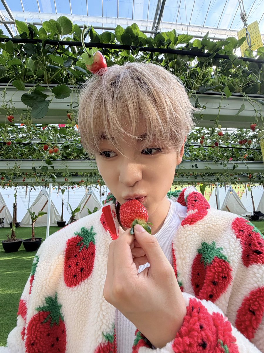 seiulobmi's tweet photo. 개맛있음 https://t.co/sT0aR5Aken