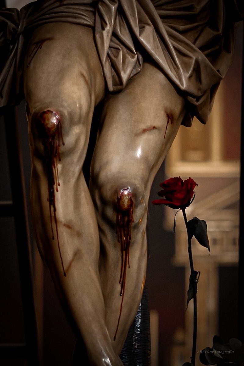 MIÉRCOLES DE CENIZA

El tiempo de cuaresma nos remite a los cuarenta días en que Jesucristo, impulsado por el Espíritu, se retira al desierto tras ser bautizado por Juan. Esta soledad no es aislamiento sino intimidad con el Padre.

Fotografía: @aliexgar_fotografia