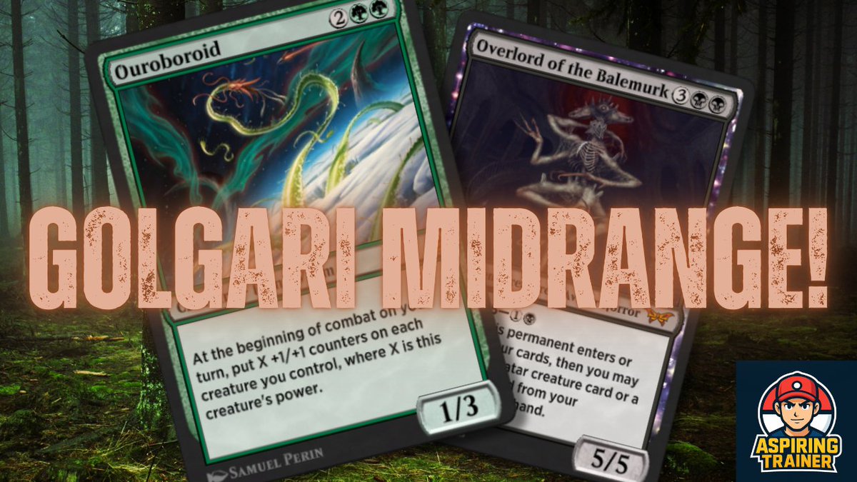 Aspiring Trainer tweet media