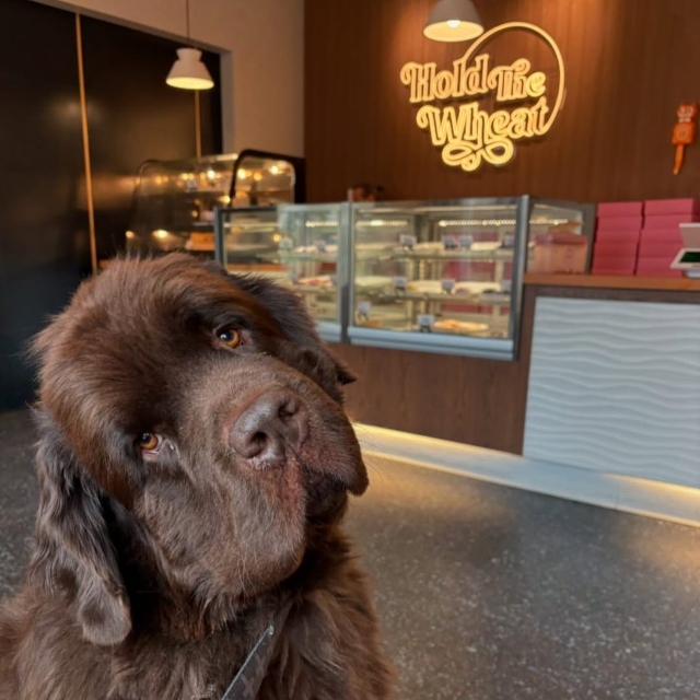 Custom Neon® tweet media