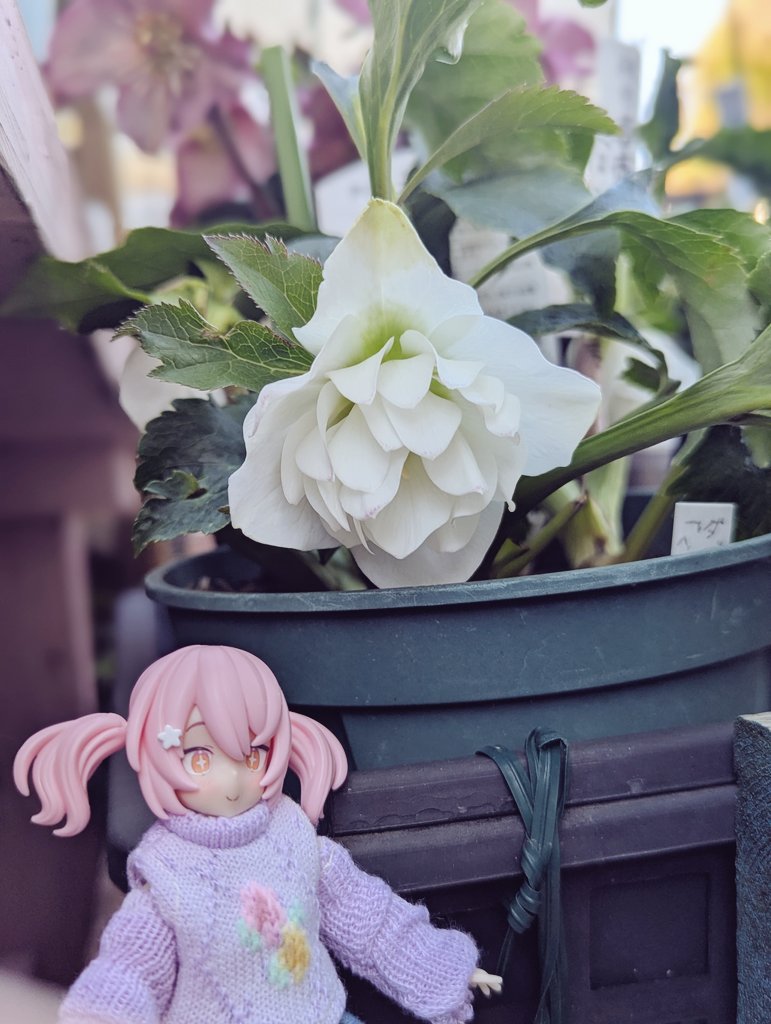 poppo715 (@poppo715poppo) / Posts / X