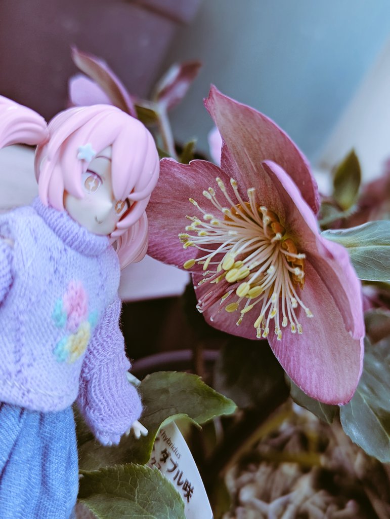 poppo715 (@poppo715poppo) / Posts / X