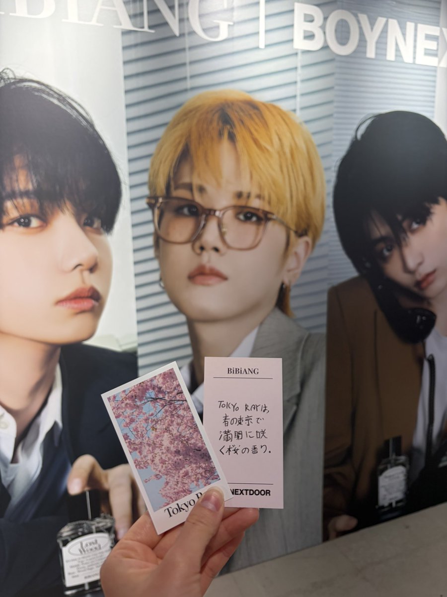 봄 tweet media