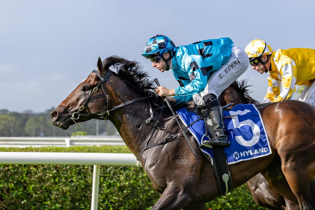 MFreedmanRacing's tweet photo. π΅β«οΈ DECORUM β«οΈπ΅
3YO @ArrowfieldStud Snitzel colt makes it 3 wins from 4 starts.
Back to Warwick Farm, he stepped up to the 1600m with @TommyBerry21 back in the saddle.
Making a clean break from the gates, the duo took a sit just behind the leaders allowing the colt something to chase over the mile.
Berry got him into a perfect rhythm before kicking him on up through his gears to rattle on home for his second metro win.
Congratulations to all connections involved
πΈ @georgiayphoto