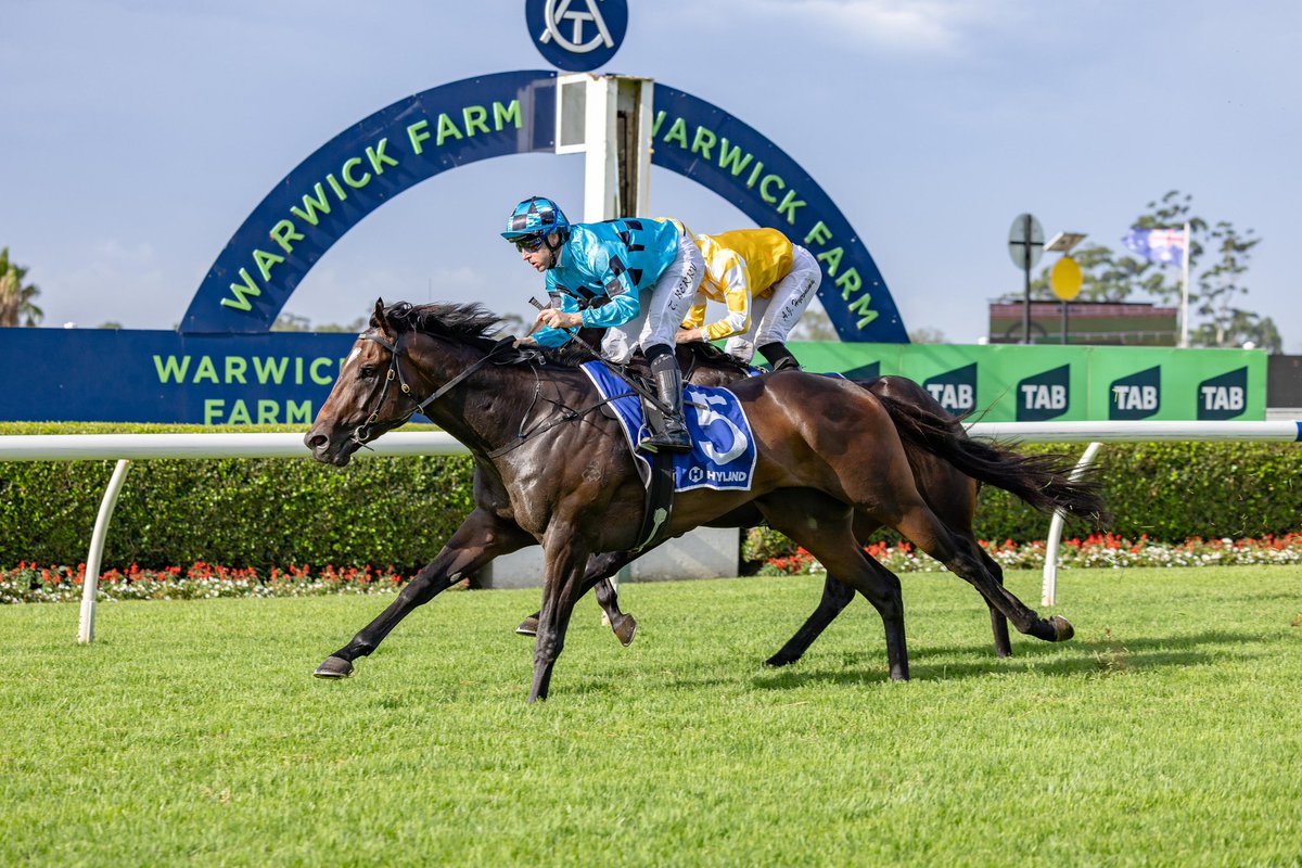 MFreedmanRacing's tweet photo. π΅β«οΈ DECORUM β«οΈπ΅
3YO @ArrowfieldStud Snitzel colt makes it 3 wins from 4 starts.
Back to Warwick Farm, he stepped up to the 1600m with @TommyBerry21 back in the saddle.
Making a clean break from the gates, the duo took a sit just behind the leaders allowing the colt something to chase over the mile.
Berry got him into a perfect rhythm before kicking him on up through his gears to rattle on home for his second metro win.
Congratulations to all connections involved
πΈ @georgiayphoto