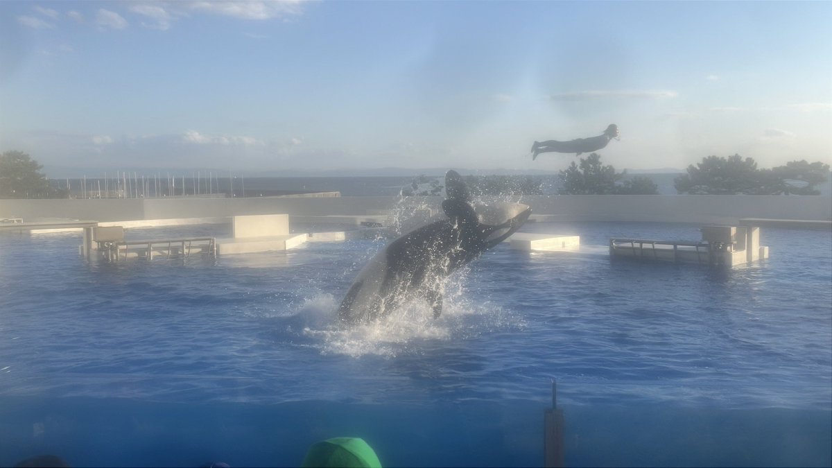 スカイを3回目期待してたらｳｰﾝダブル！
この3回でなんかほぼ全て見たような😆

これ特別回期待しちゃっていいですか？
撮影NGやから_φ(･_･ﾒﾓﾒﾓ 
2/18 16:30