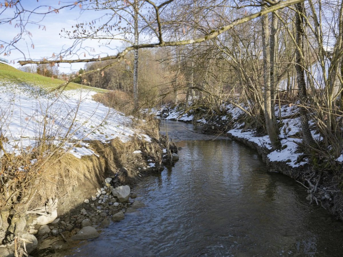 Gesundheit &amp; sauberes Trinkwasser haben Vorrang und sind nicht verhandelbar. Gesundheit geht vor Partikularinteressen. Das BAFU muss den Gewässerschutz strenger durchsetzen.
👉 srf.ch/news/schweiz/p…