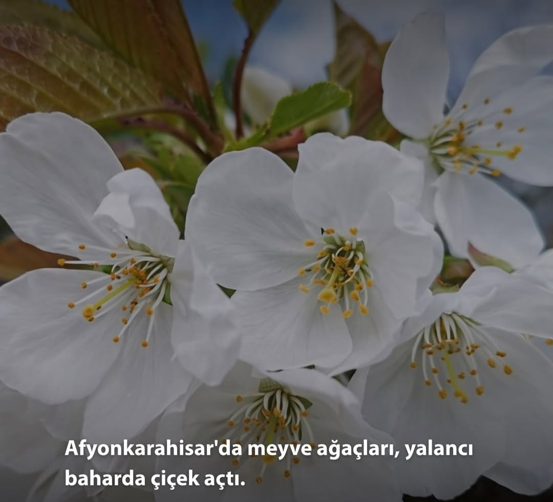 ulancansu's tweet photo. Bu şey değil mi yaa kalbim 😒 https://t.co/6THn74l94X