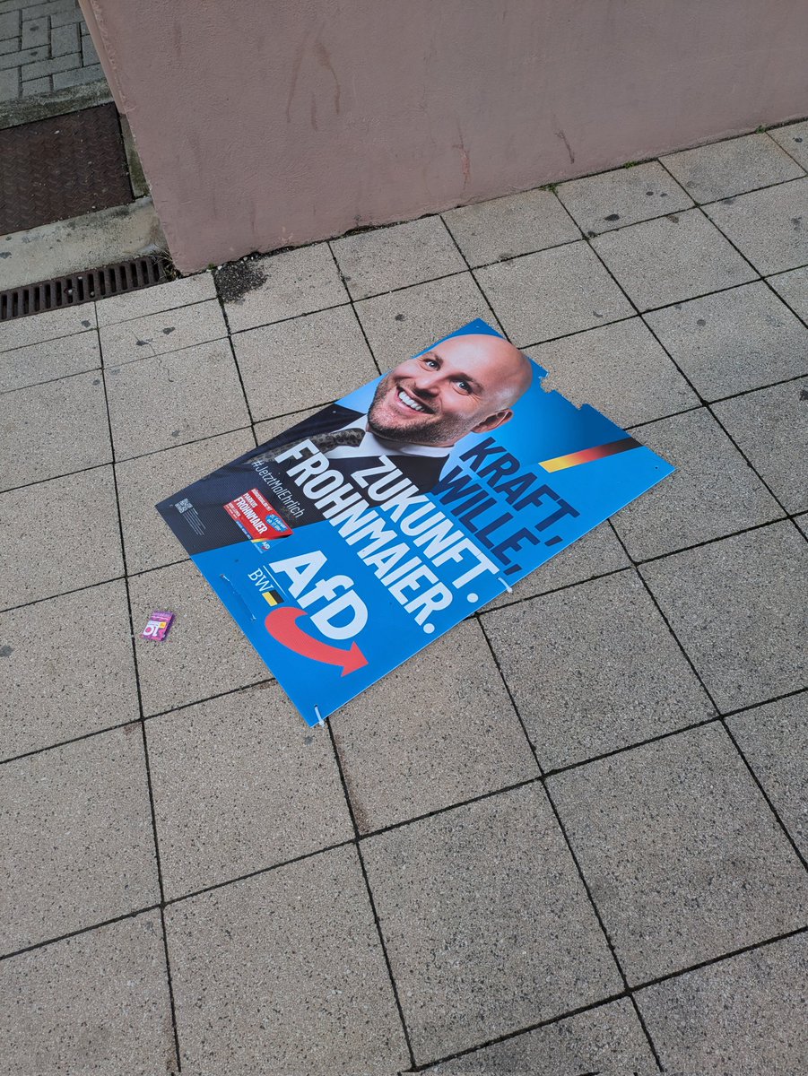 Da gehört er hin. In den Staub und am Boden.*

*Hinweis: Ich habe dieses Plakat nicht zerstört und rate jedem davon ab. Es handelt sich um Sachbeschädigung.

#AfDVerbotsverfahren2026 #AfDSindFaschisten #AfDscheitert