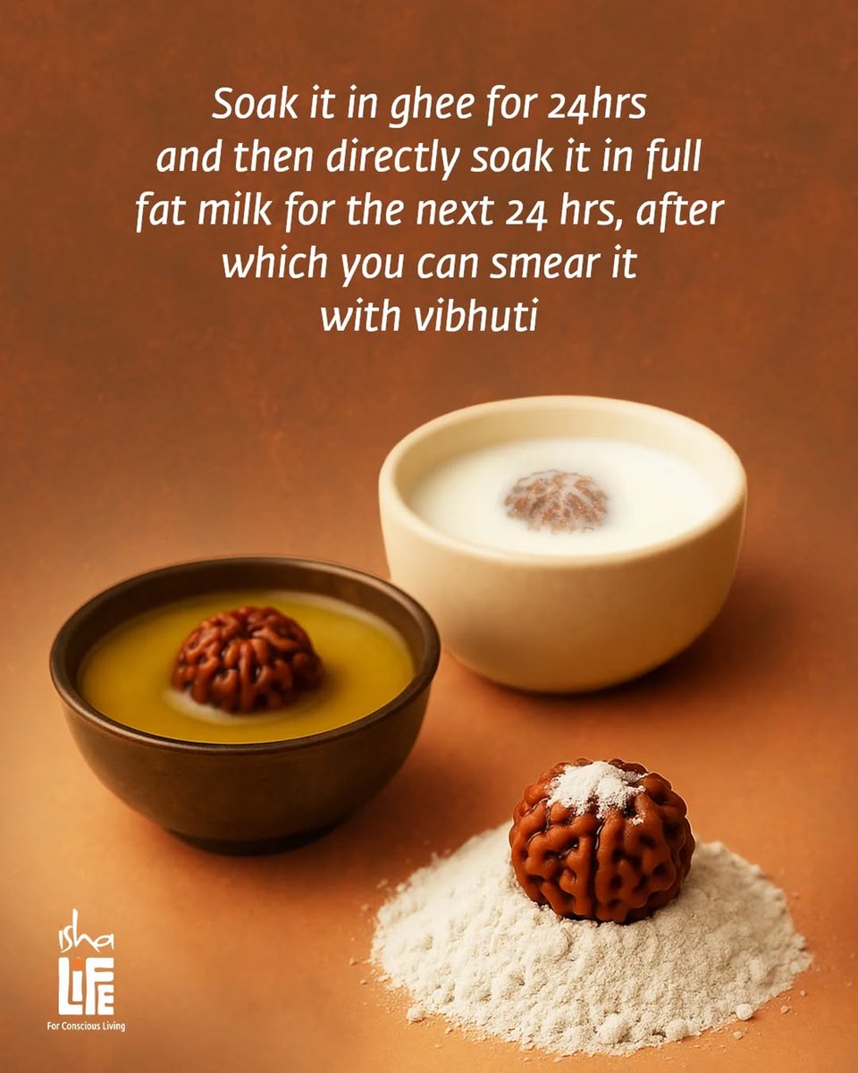 Increase the longevity of your sacred beads with this Rudraksha conditioning guide.

#ishalife #forconsciousliving #Rudraksha #energized