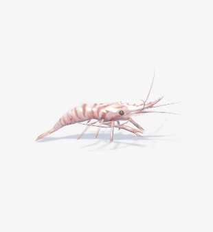 「두두타운 코에비짱 자만추 했다」|하르모니아のイラスト