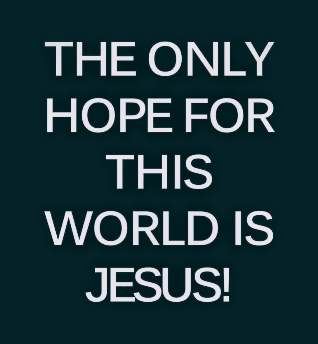 Sword⚔️&Torch🔦of God🤺🛡️📖🩺🏥 tweet media