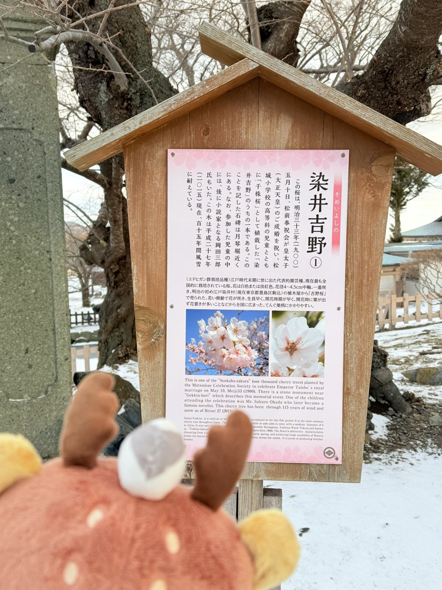 キュンちゃん【公式】 (@kyunchan_dc) / Posts / X