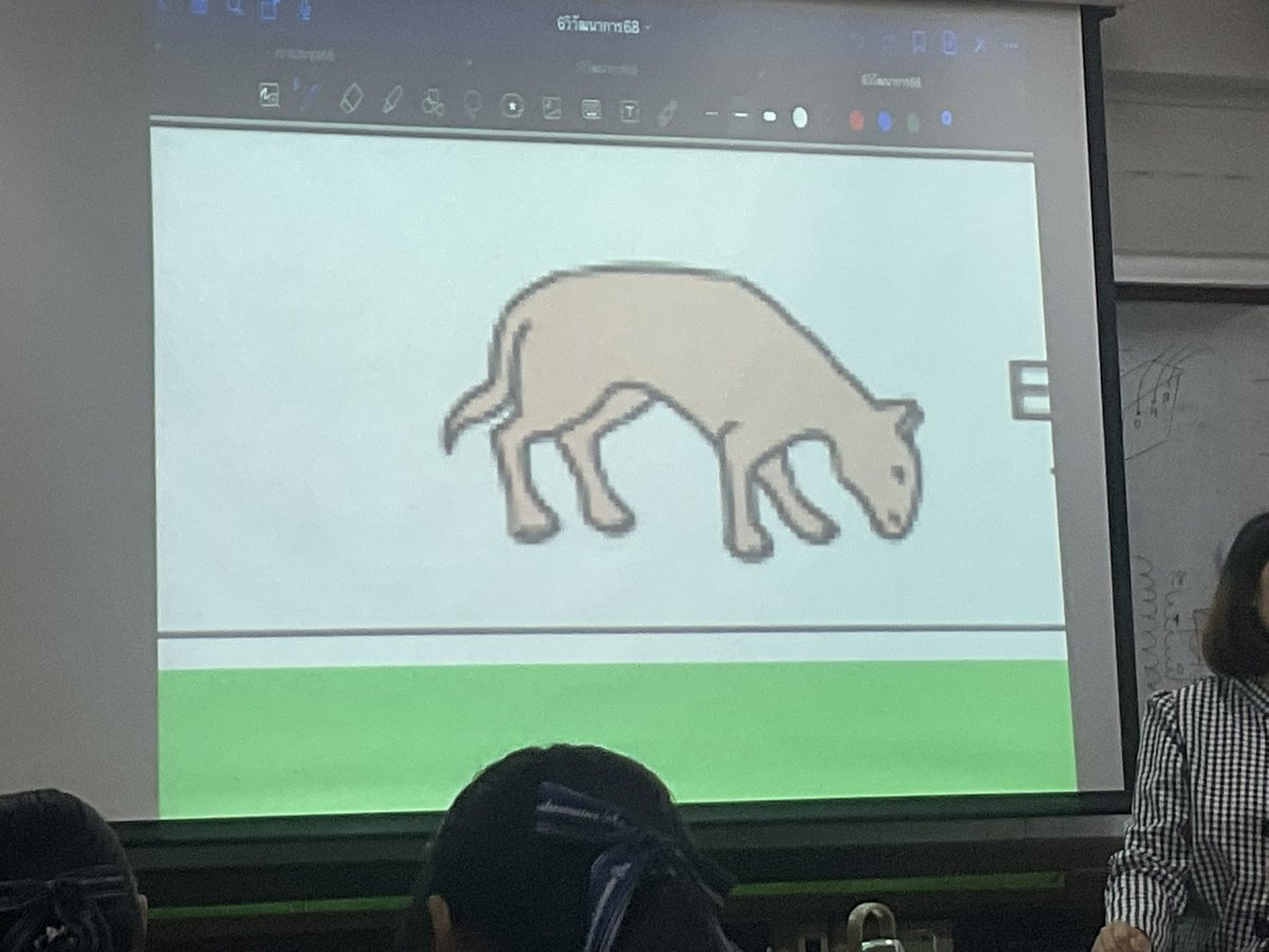 ม้าเคยคลัายแมว⁉️