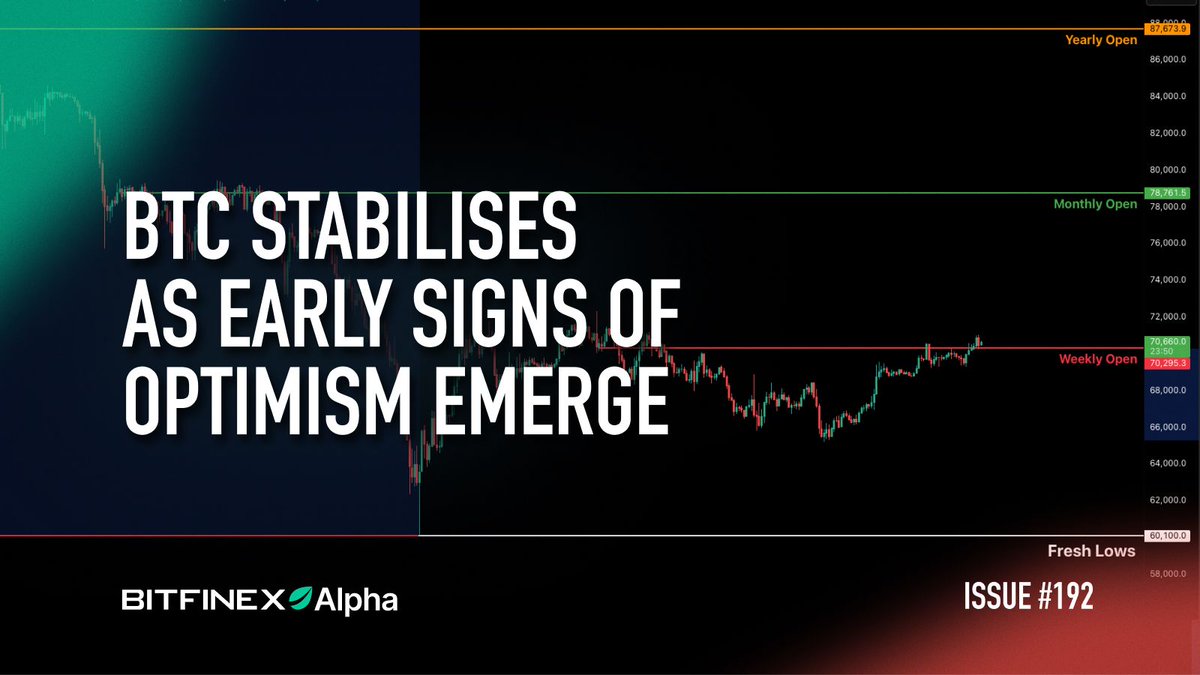 Bitfinex em Português tweet media