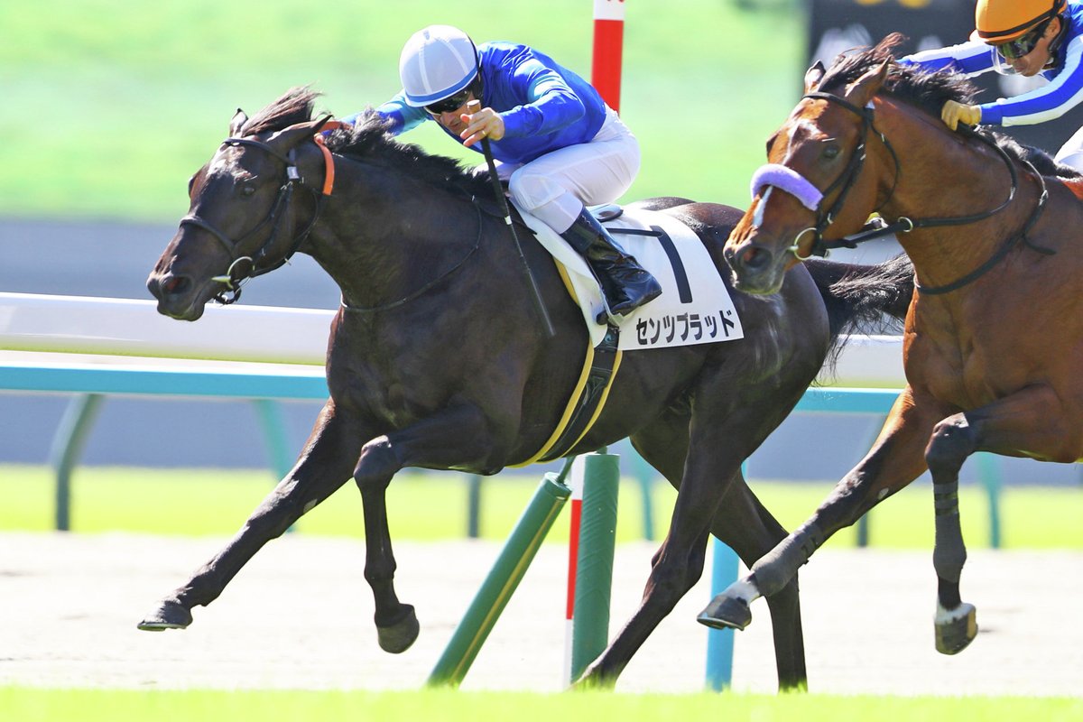 JRAVAN_info's tweet photo. 【重賞見どころ・小倉大賞典】3年連続3連単10万円超え！ 4歳センツブラッドら今年も混戦模様か

https://t.co/7aOAE3nOxG https://t.co/Go3p3phQfd