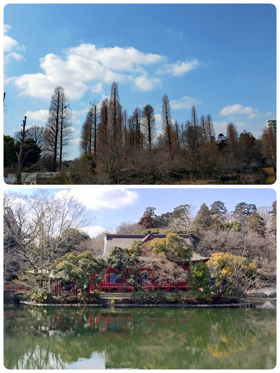 #井の頭公園