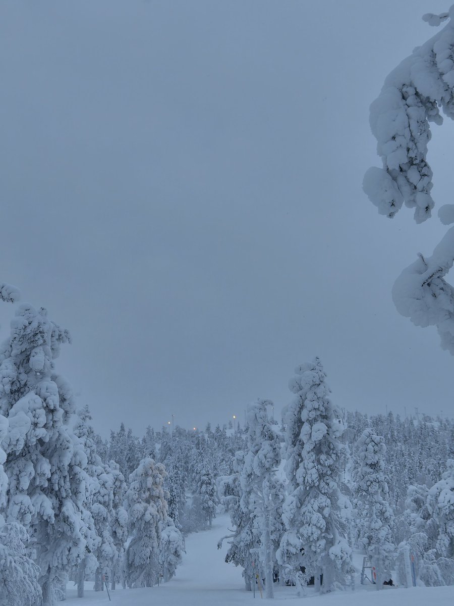 its_aiq's tweet photo. Snöw https://t.co/eARc0iodbY