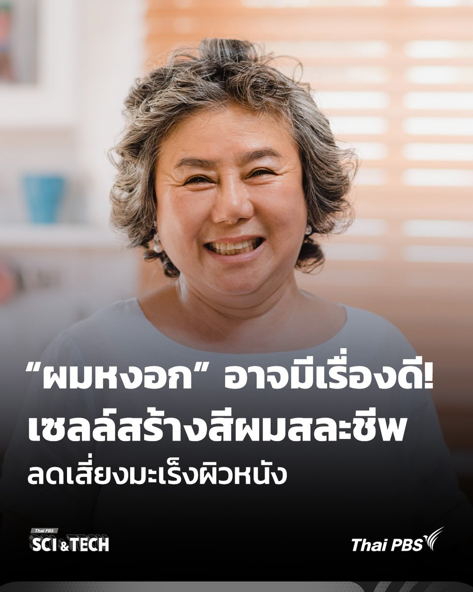 #ผมหงอก อาจมีเรื่องดี! #เซลล์สร้างสีผม สละชีพ ลดเสี่ยง #มะเร็งผิวหนัง

ทีมวิจัยญี่ปุ่นเปิดมุมมองใหม่เกี่ยวกับ “ผมหงอก” ซึ่งตีพิมพ์ในวารสาร Nature Cell Biology โดยชี้ว่าการสูญเสียเม็ดสีใน #เส้นผม อาจเป็นสัญญาณที่ดีว่าร่างกายกำลังกำจัดเซลล์ที่มีความเสี่ยงต่อการเกิด #มะเร็ง #ผิวหนัง