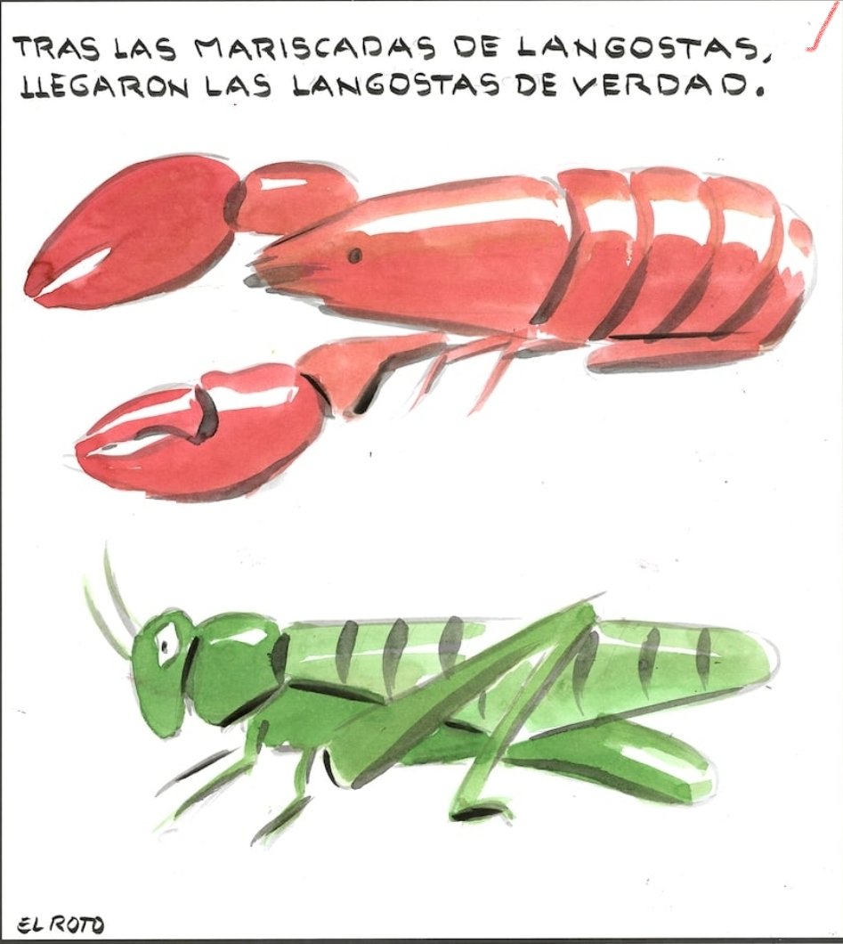 El Roto (@elroto_elpais) on Twitter photo 