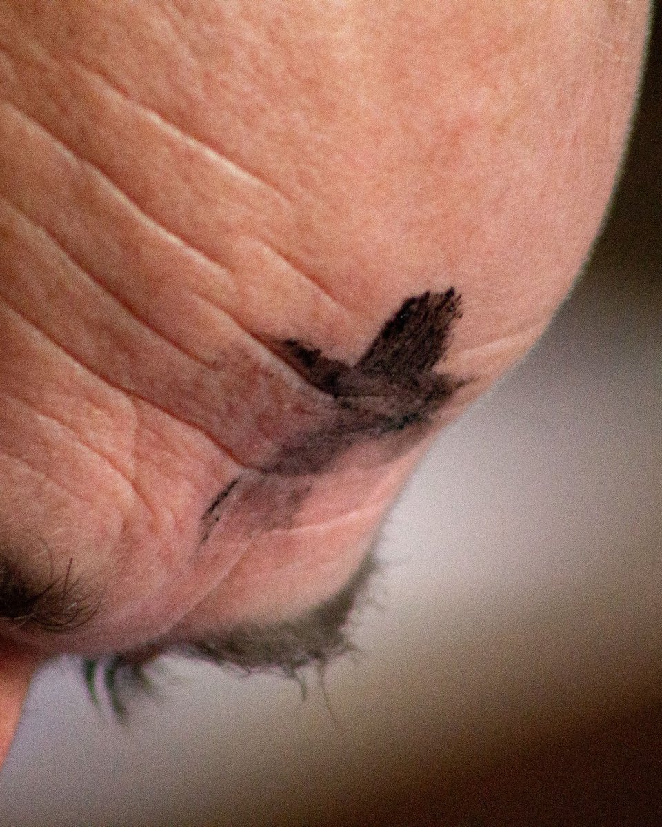 The Church of England tweet media