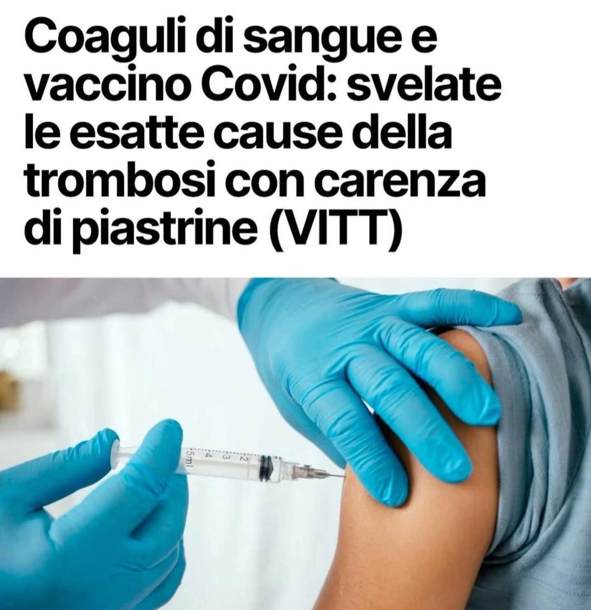 Sabrina F. tweet media