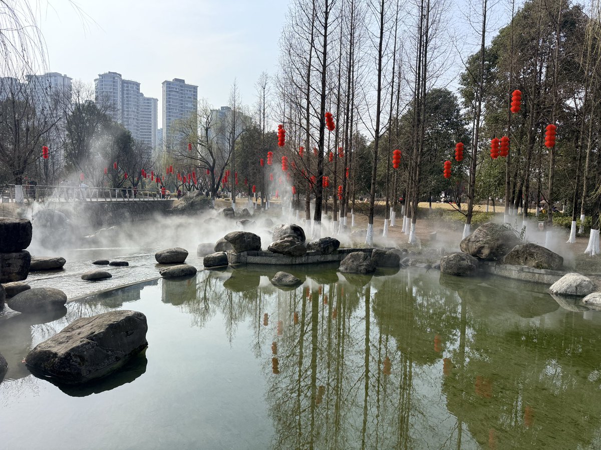 ヤンチャン(楊小溪)🐼『お家で絶品中華』発売中 tweet media