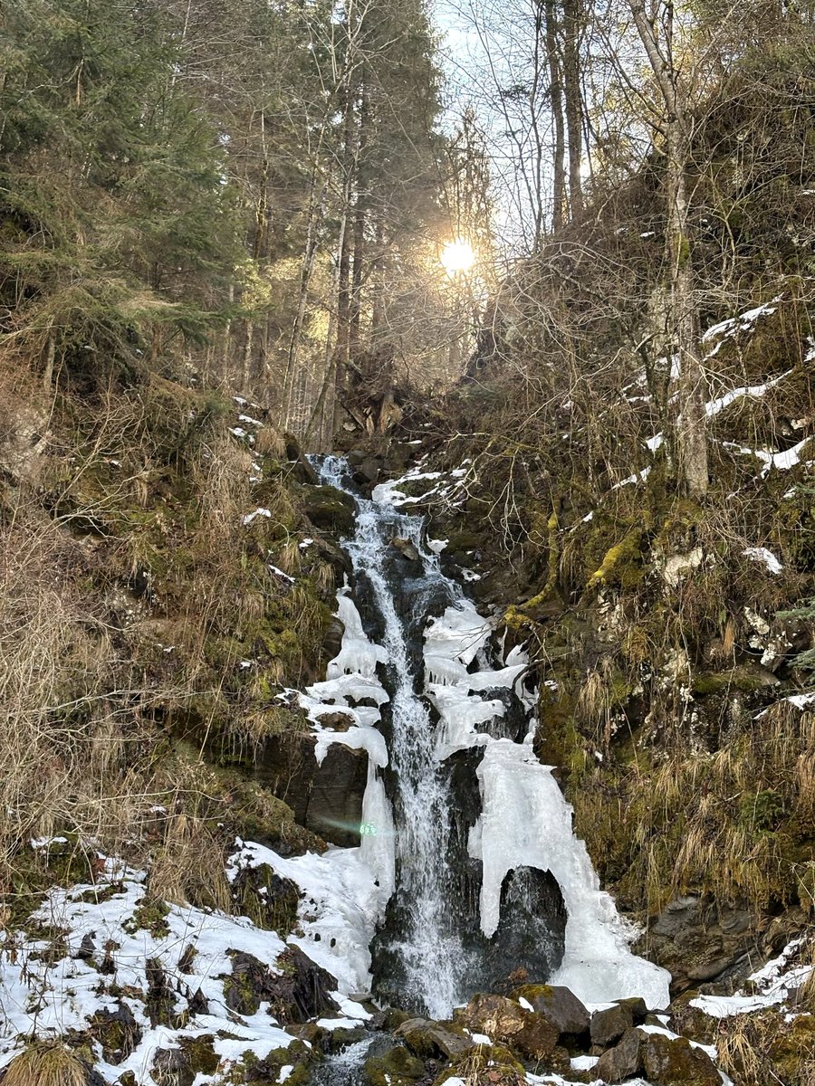 рэйттер. tweet media