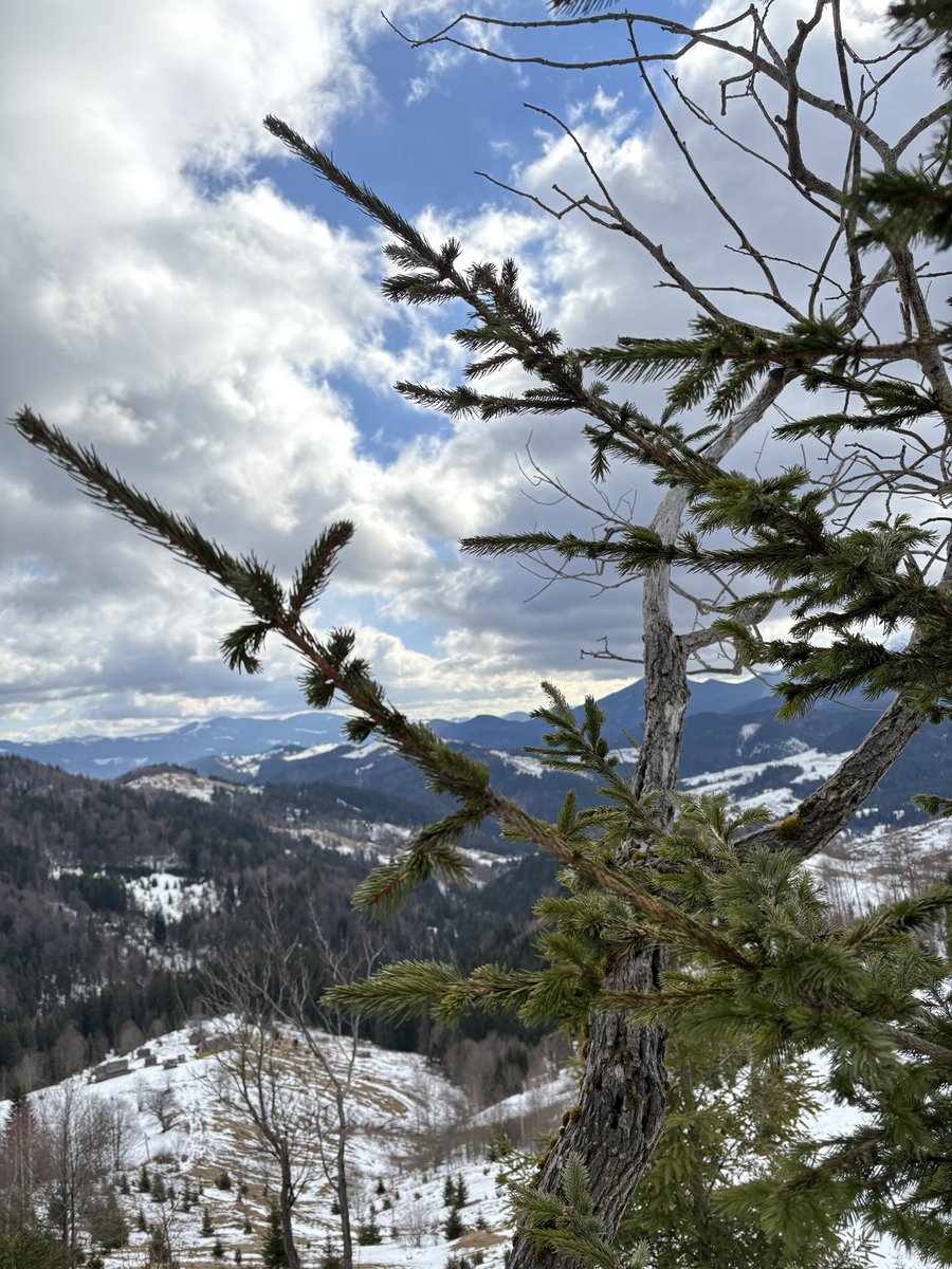 рэйттер. tweet media