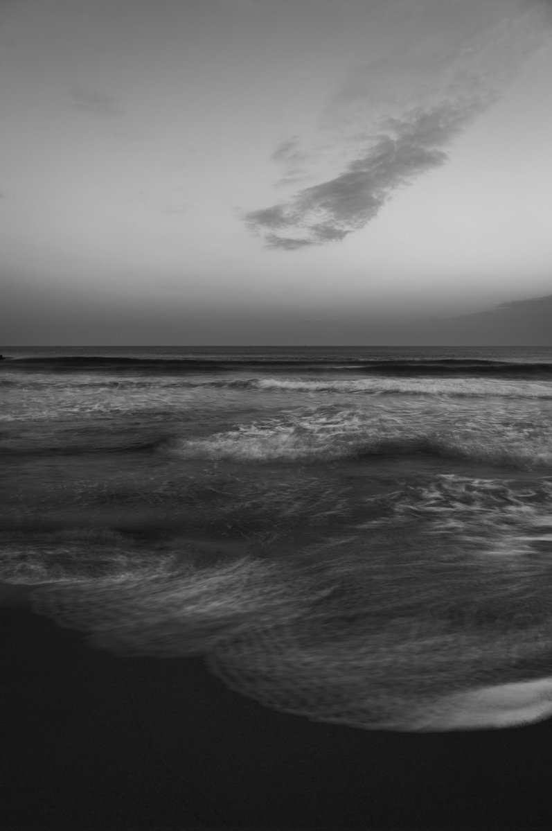 gaolang3c's tweet image. 波の絨毯
SIGMA fp L &amp;amp; Lumix S 24-105 F4 Macro O.I.S
#naturephotography #naturelovers #sigmafpl #sigma #beachlife