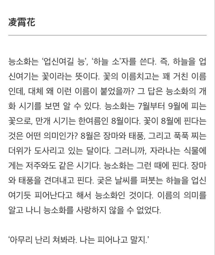 chosing04's tweet image. 전 이거요..