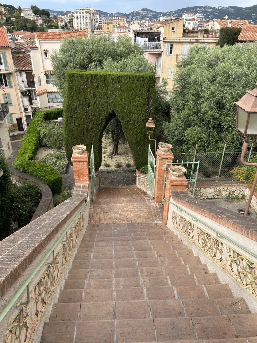 timelessflo's tweet image. Cannes 🐦