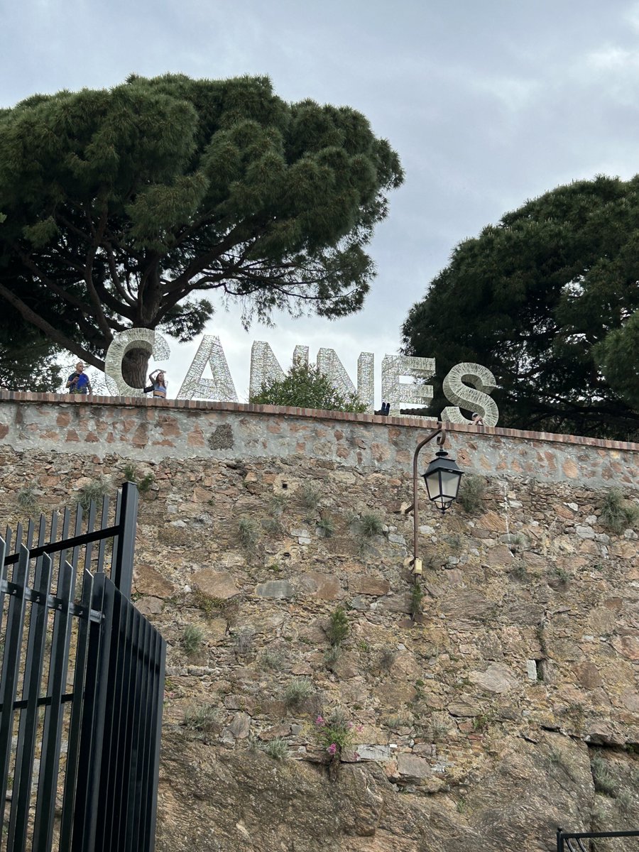 timelessflo's tweet image. Cannes 🐦