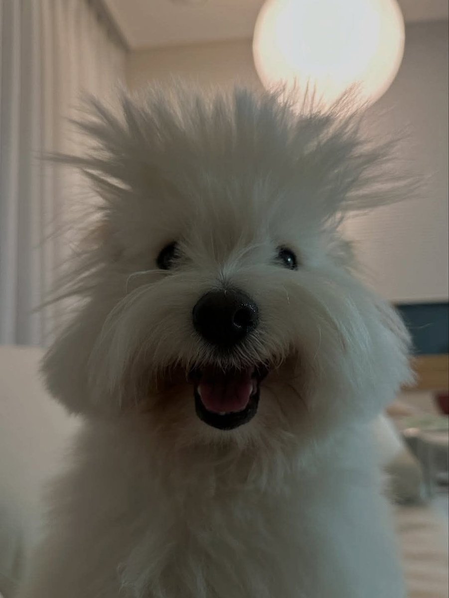 주목

내일 출근 ㅋ