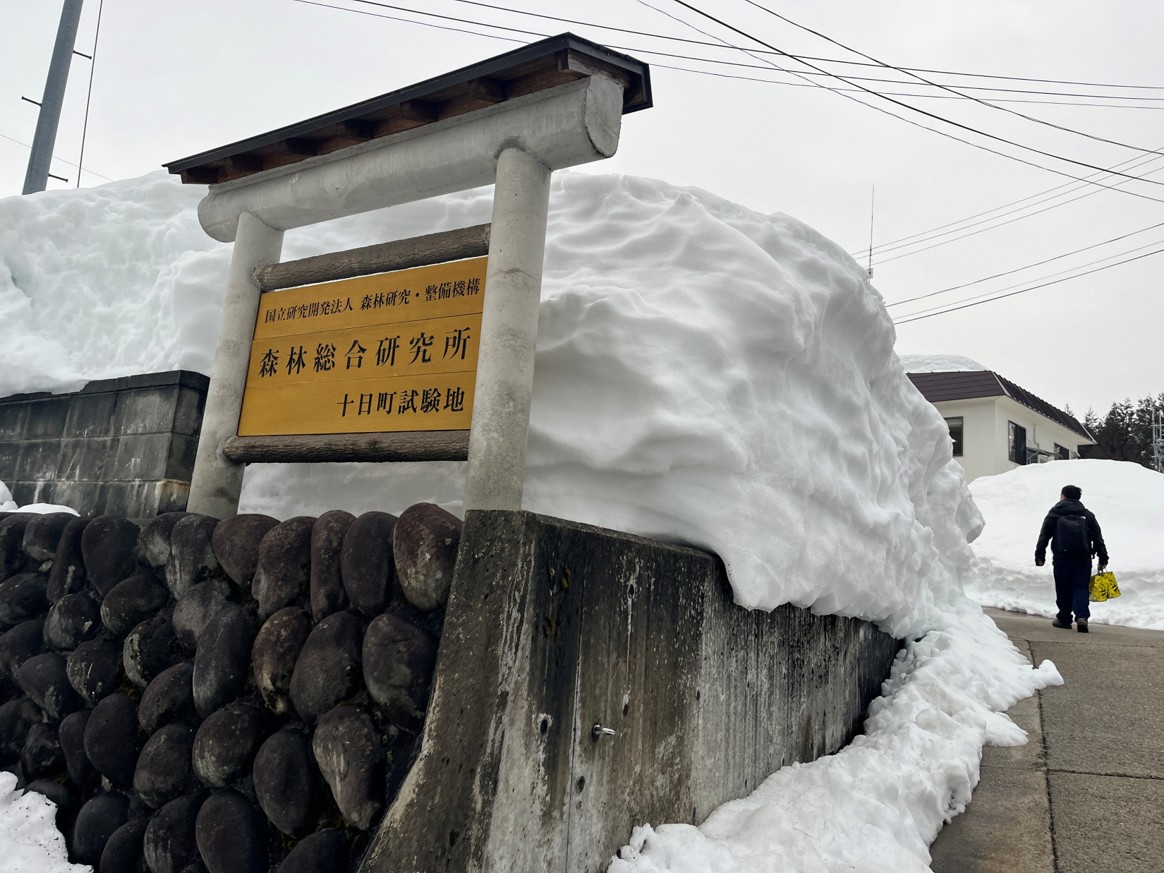 RisshoMet's tweet photo. 【十日町試験地 見学レポ①】
先日、森林総合研究所 十日町試験地へ施設見学に伺いました！
初日は、20℃近くあった熊谷から、一面雪景色の十日町への移動です☃️ 学生たちも「これが本場か…」という顔に😂 https://t.co/j9h6TriIu9